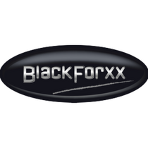 BlackForxx GmbH  Versteigerung